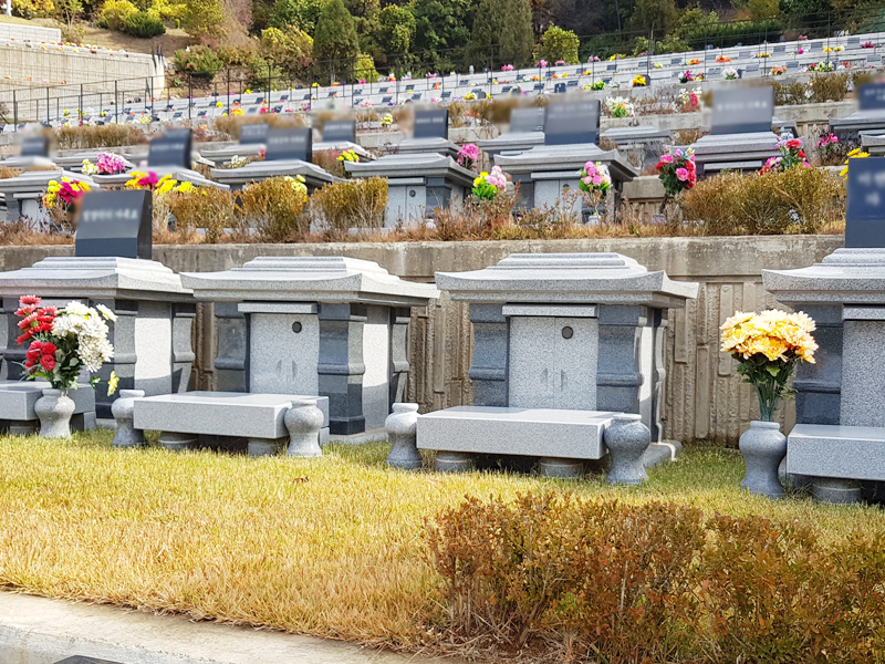 일산공원묘지 사진 6
