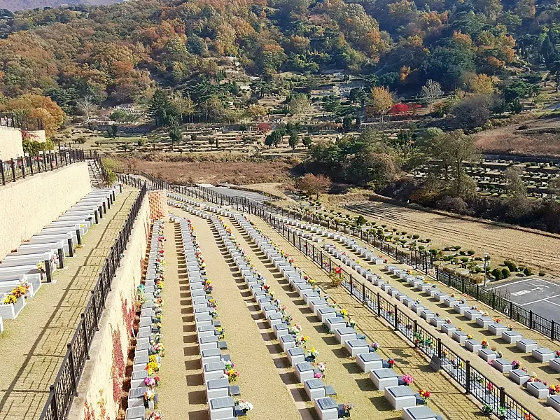 용인공원묘지 사진 8