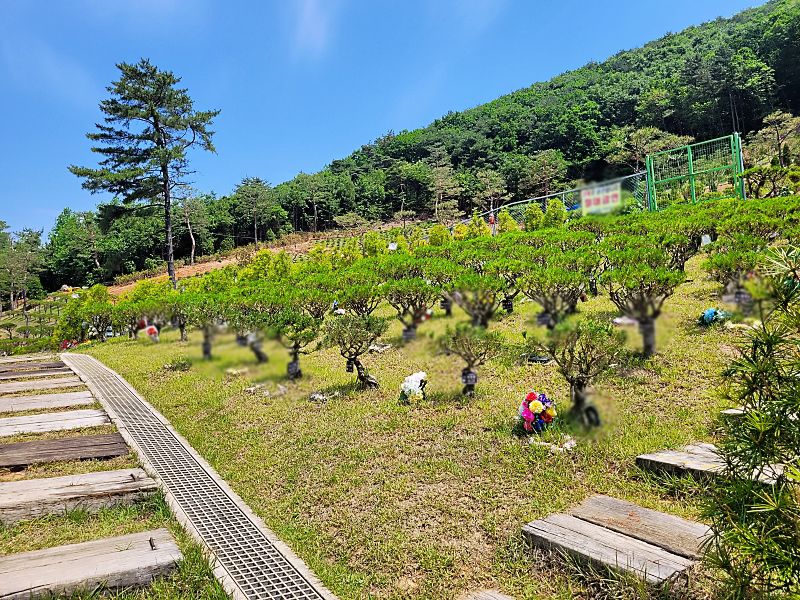 김포수목장A 사진 4