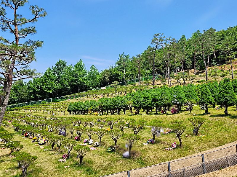 김포수목장A 사진 6