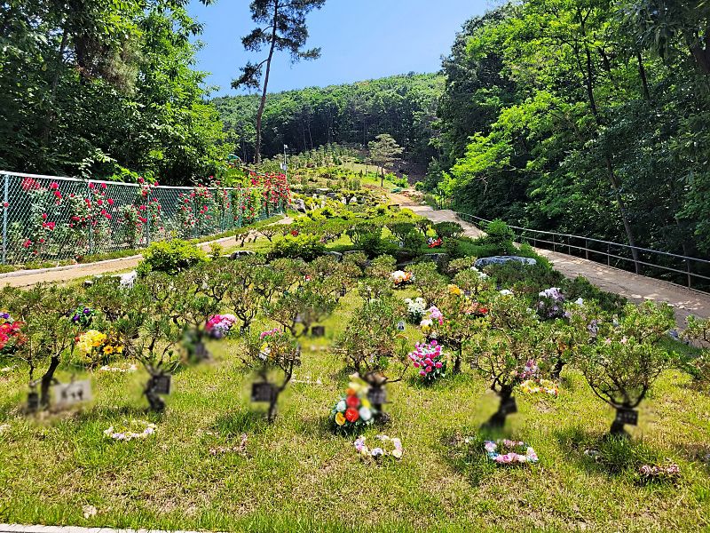 김포수목장A 사진 7
