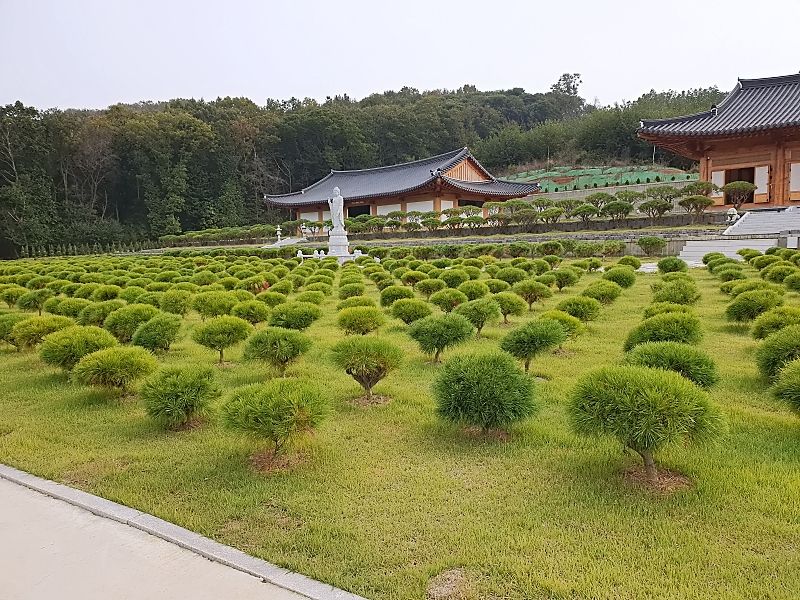 김포수목장B 사진 2