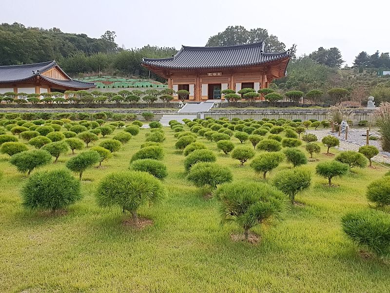 김포수목장B 사진 3