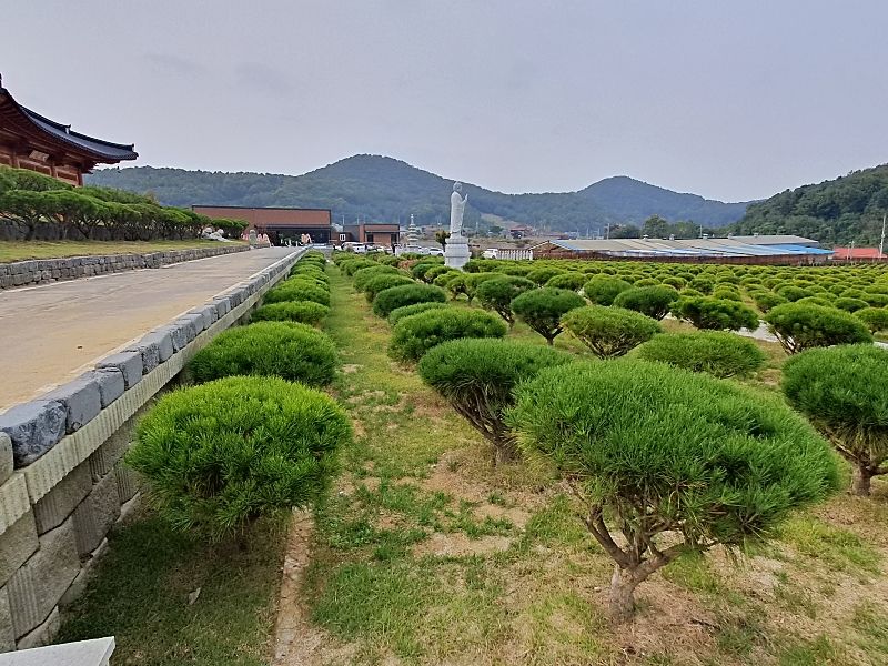 김포수목장B 사진 4