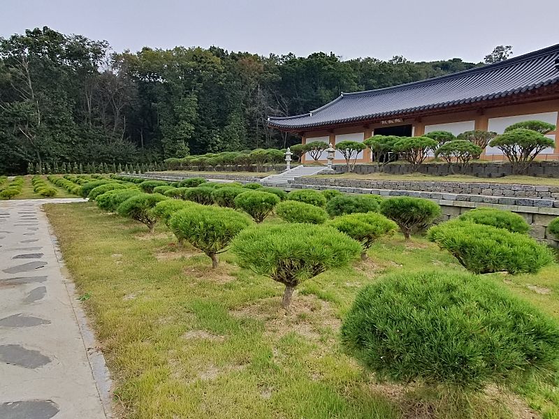 김포수목장B 사진 5