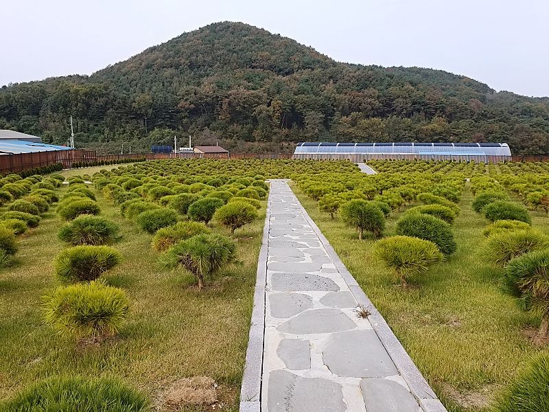 김포수목장B 사진 6