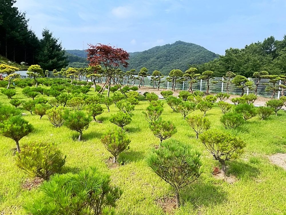 곤지암수목장 사진 4