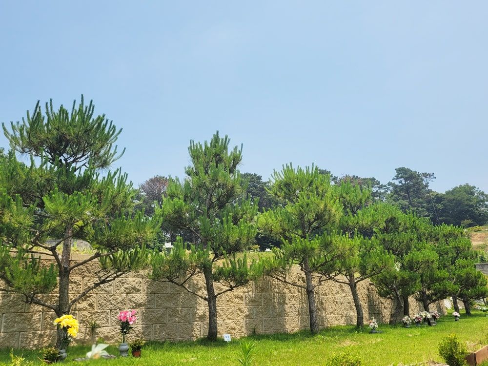 화성수목장 사진 4