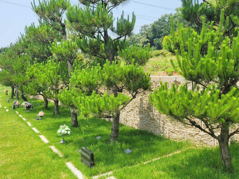 화성수목장 사진 8