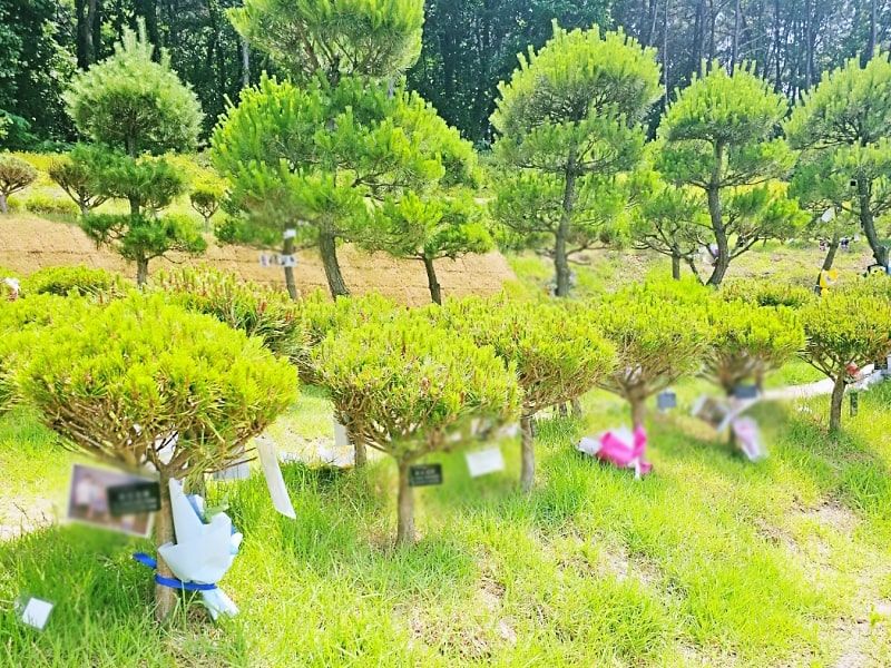 일산수목장A 사진 1
