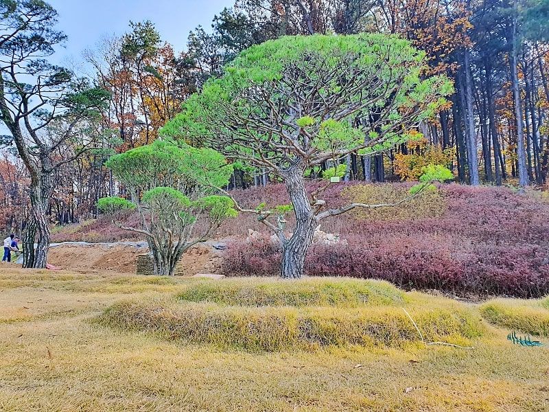 일산수목장A 사진 2