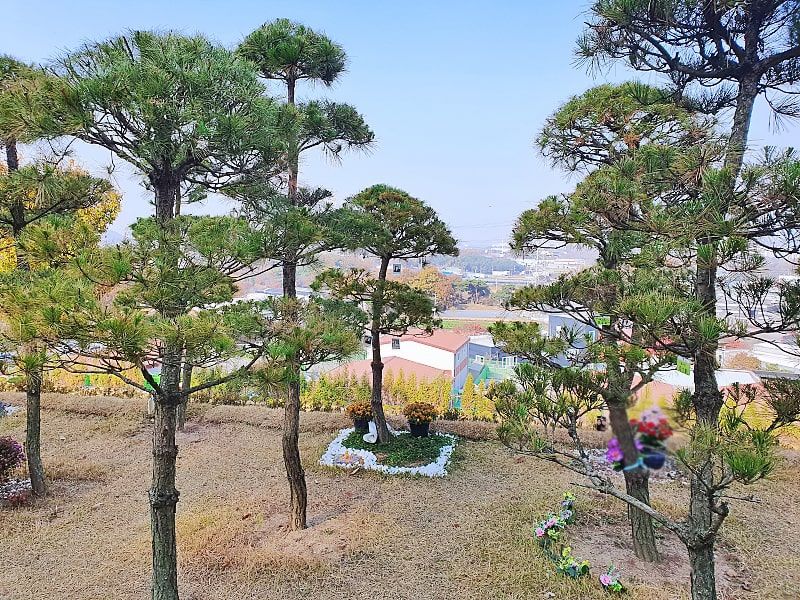일산수목장A 사진 3