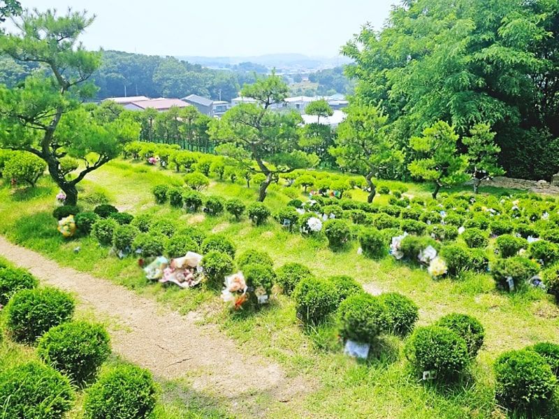 일산수목장A 사진 5