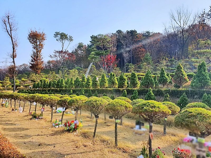 일산수목장A 사진 7