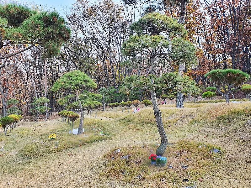 일산수목장A 사진 8