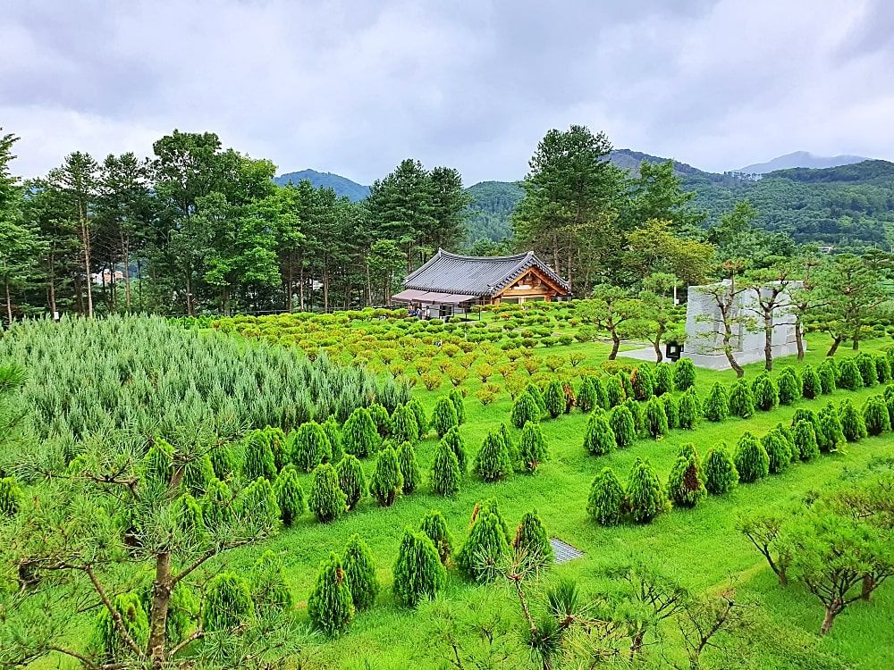 남양주수목장 사진 4
