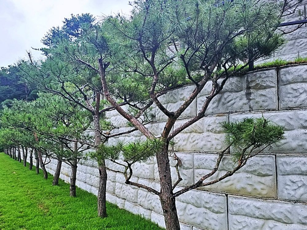 남양주수목장 사진 8