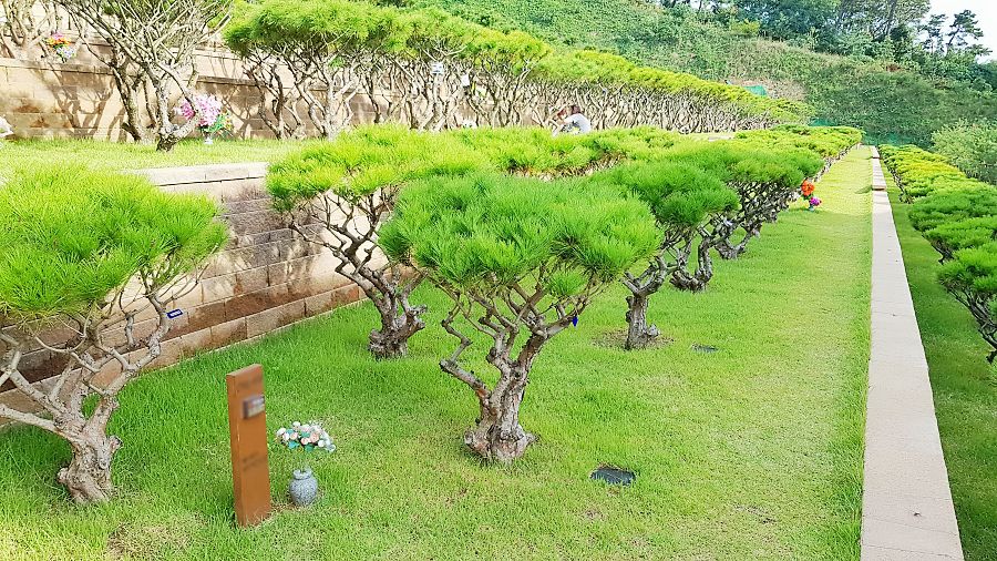 평택수목장 사진 3
