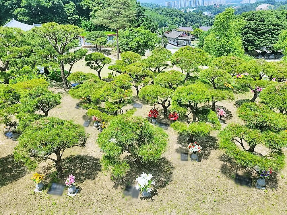 양평수목장 사진 4