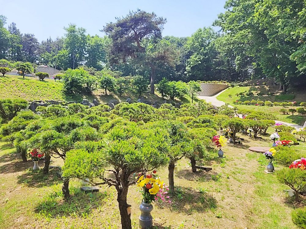 양평수목장 사진 7