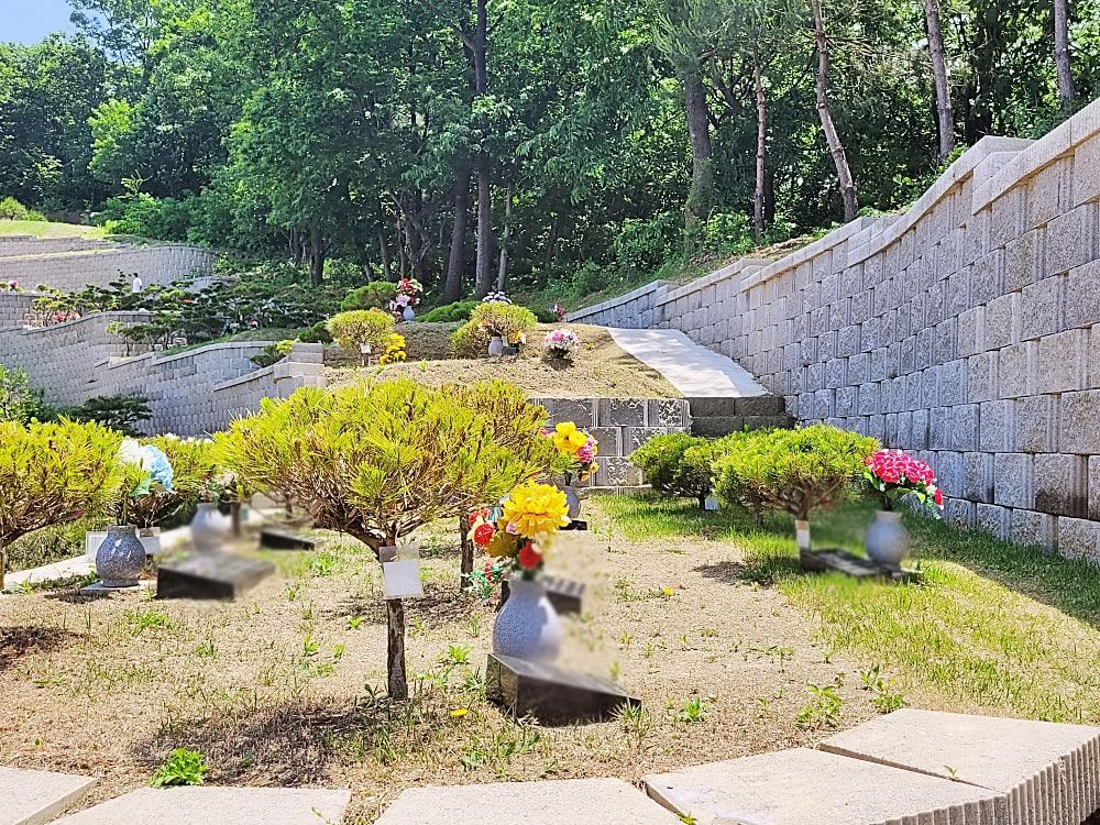 양평수목장 사진 8