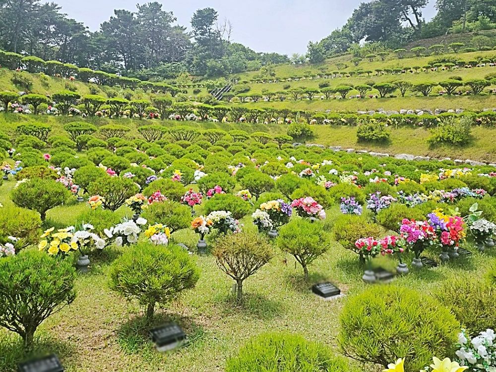 용인수목장A 사진 1