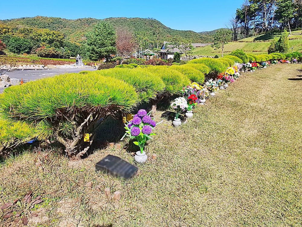 용인수목장A 사진 5