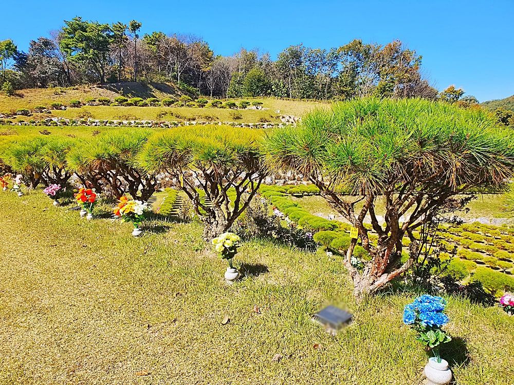 용인수목장A 사진 6